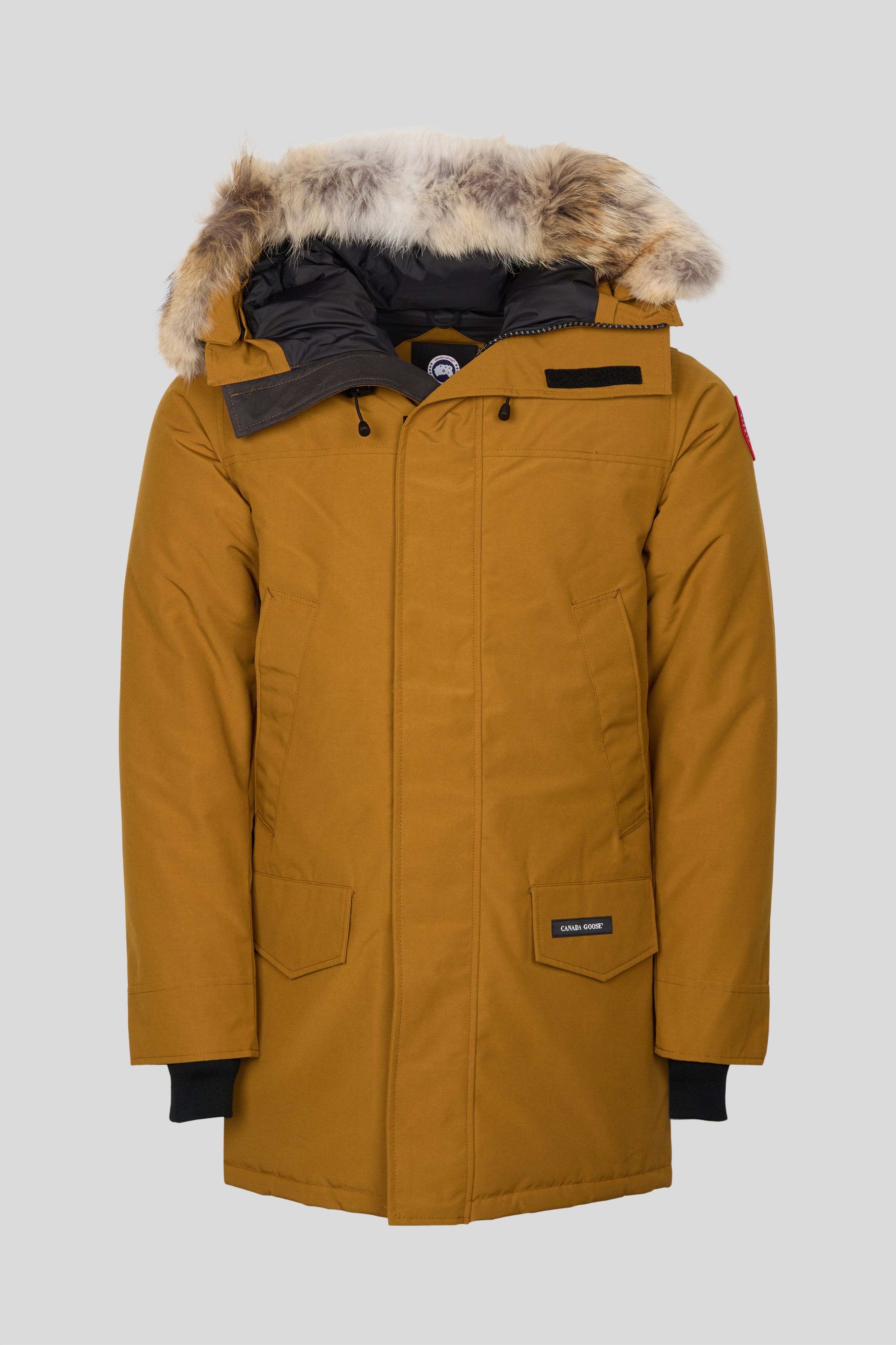 pmgzgyeddhdfgzdgvmkg_fb77b447-