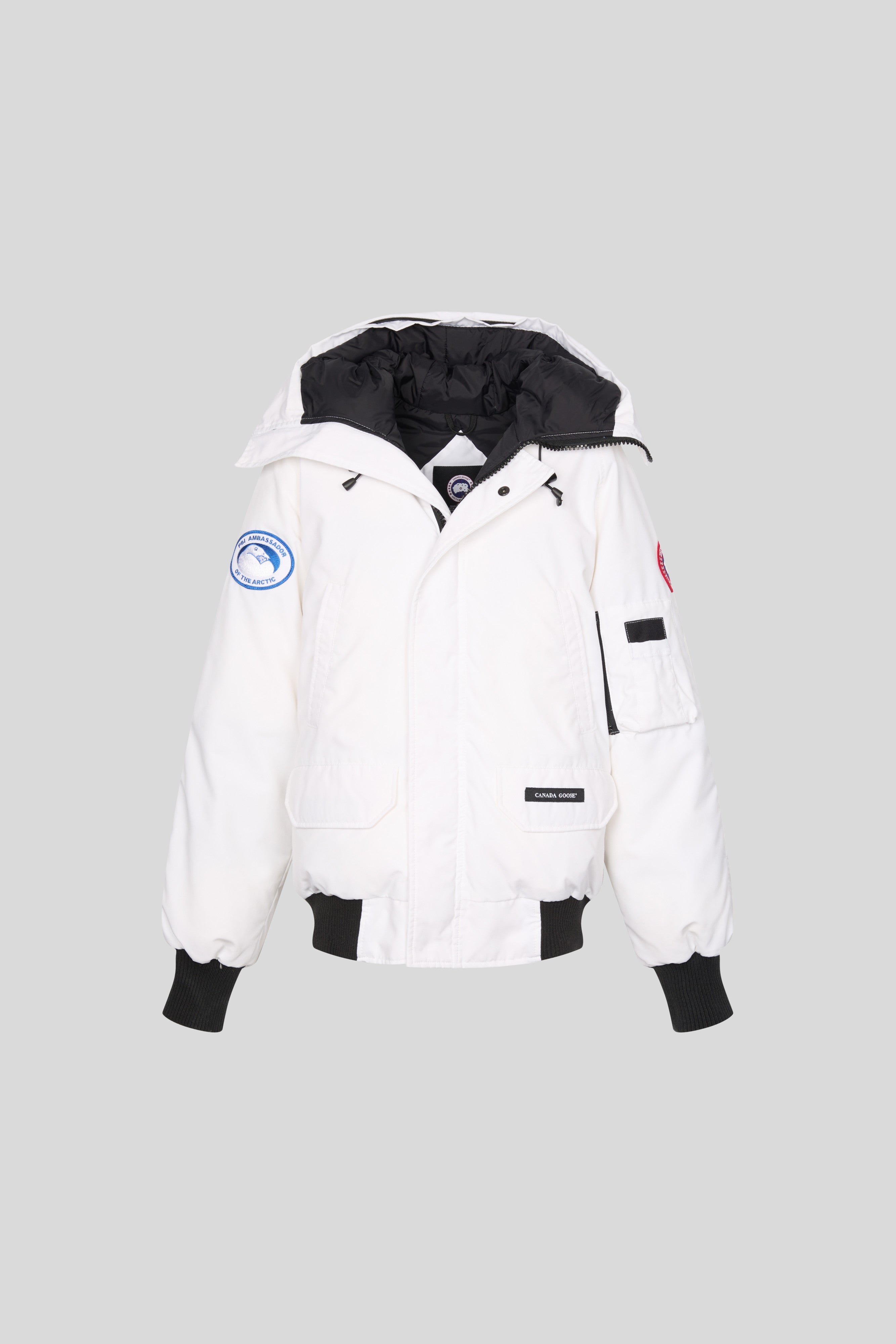 Canada goose pbi store chilliwack bomber jacket