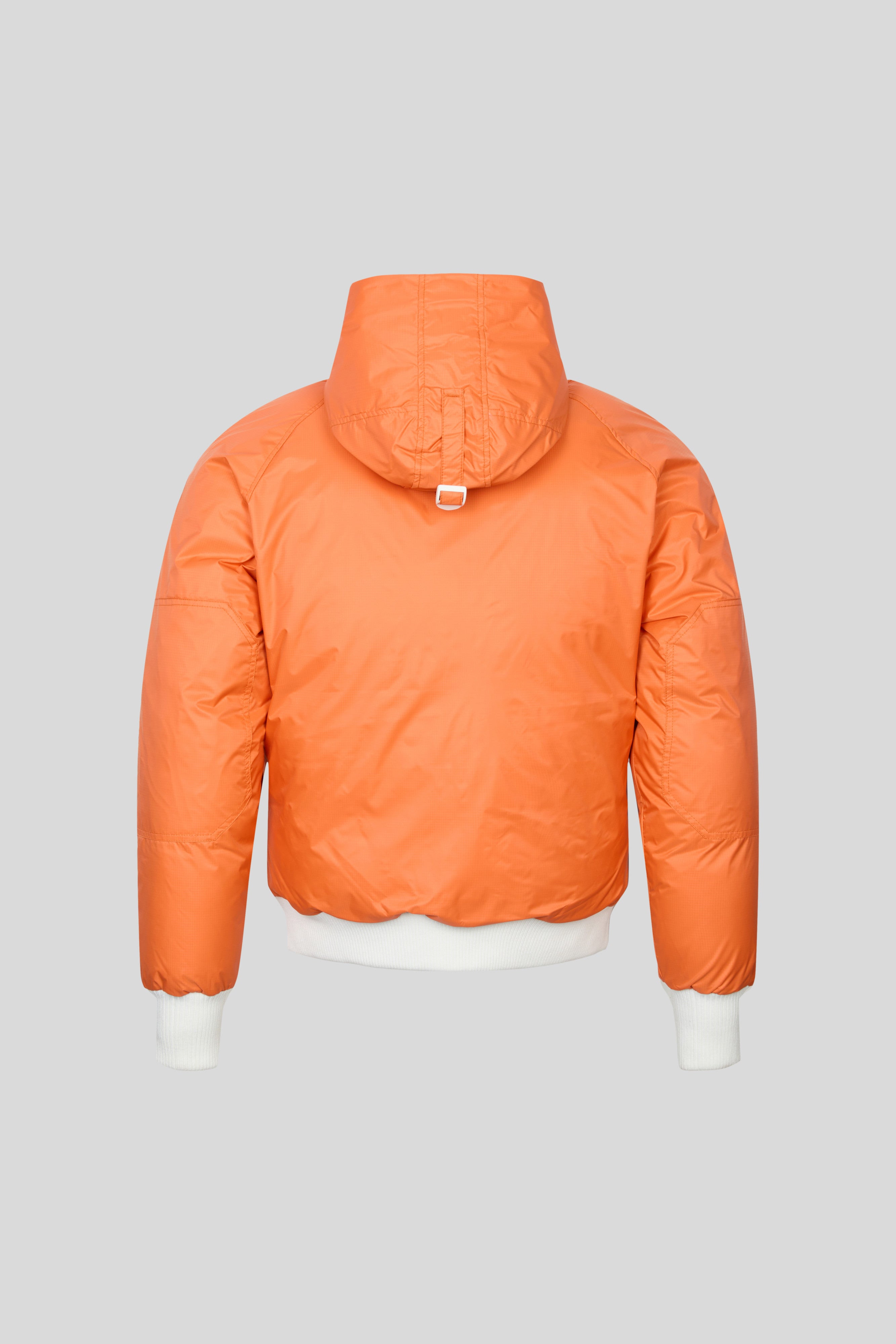 Used Chilliwack Bomber Northern Lights for sale Canada Goose Generations US