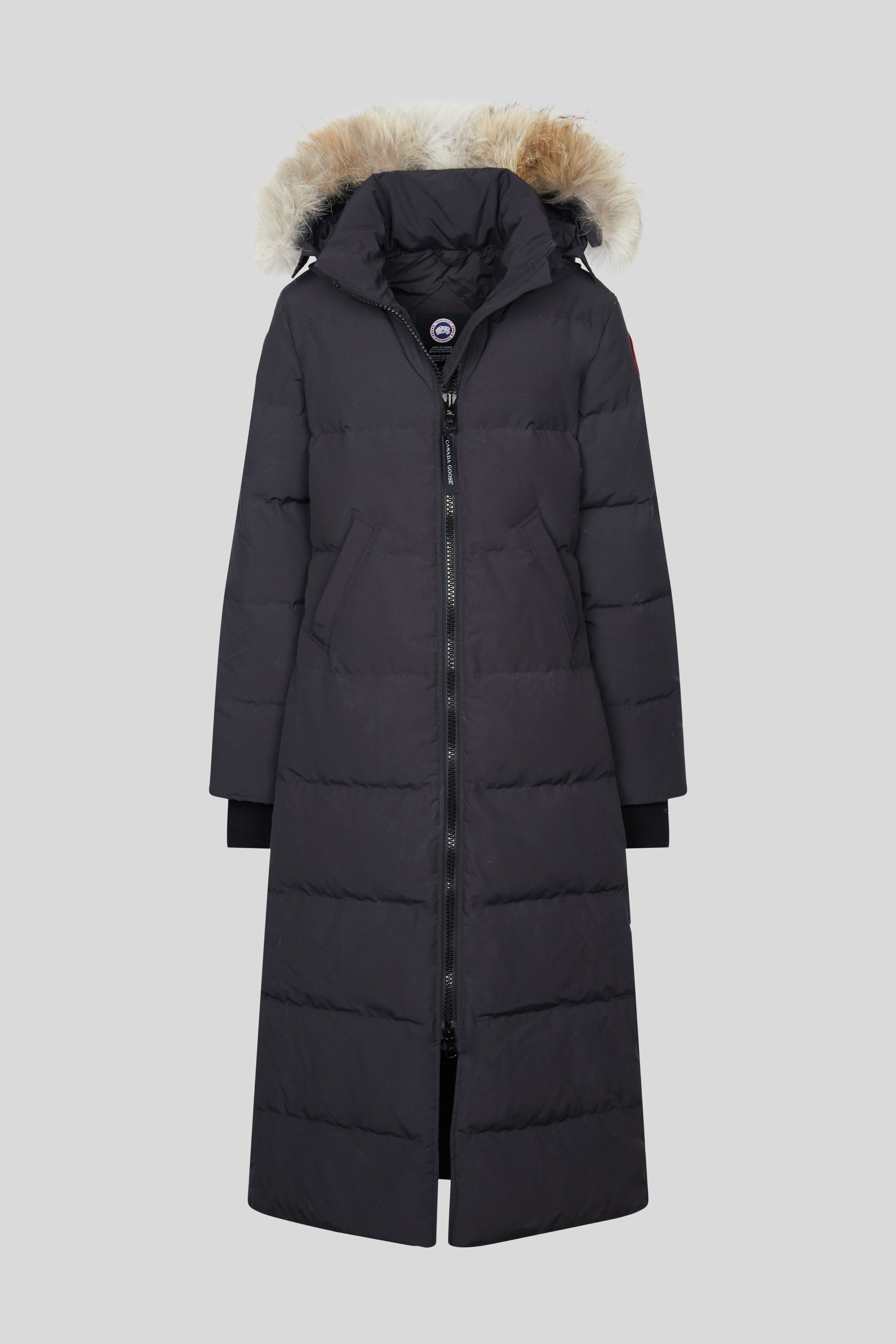 gzf0focryfqazhcskarh_99e85ffd-