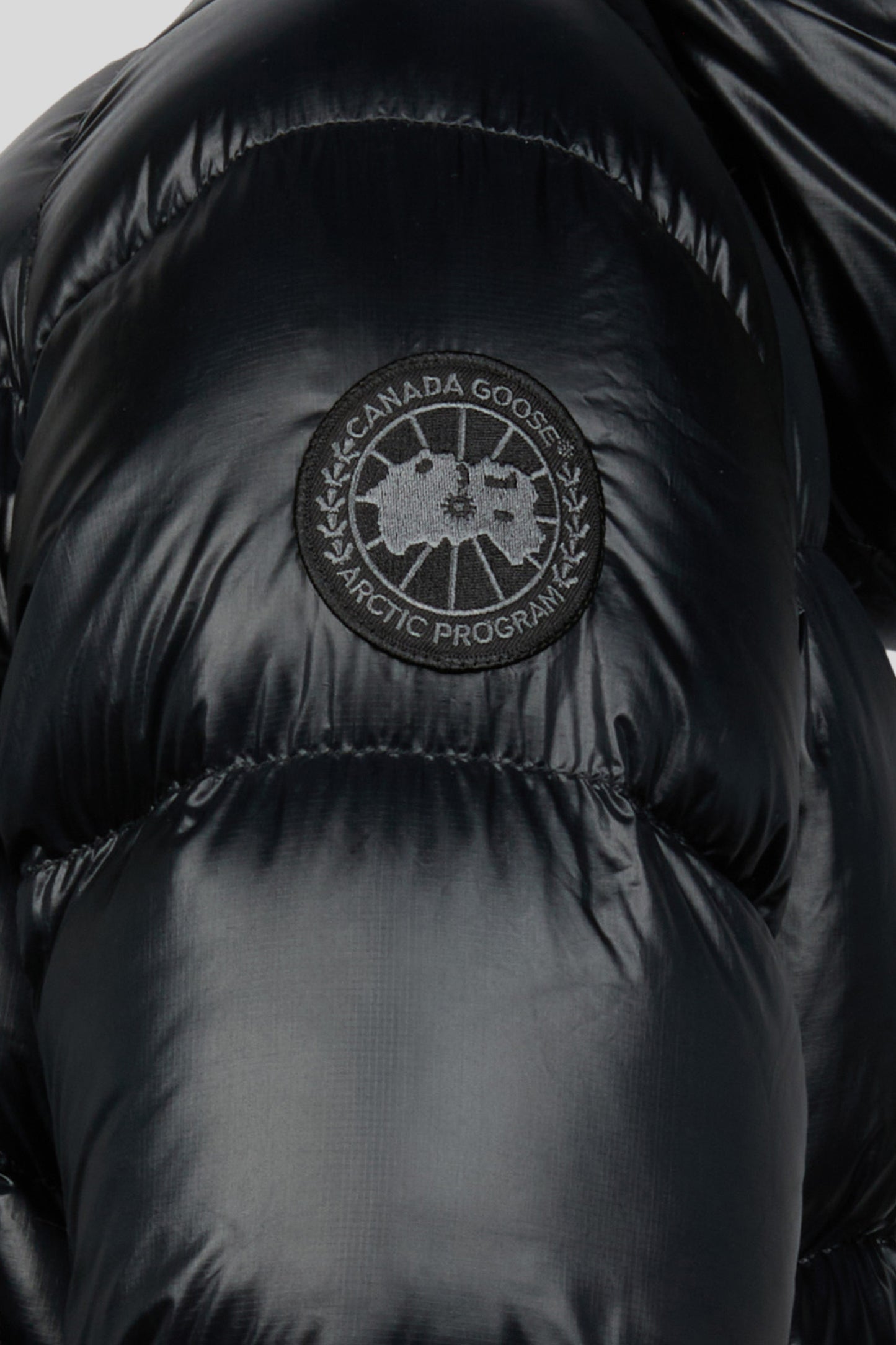 detail