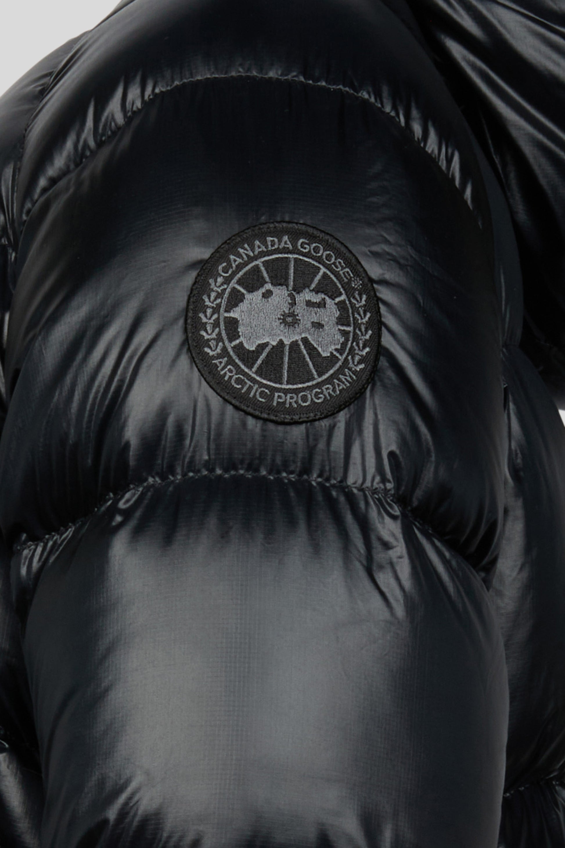 detail