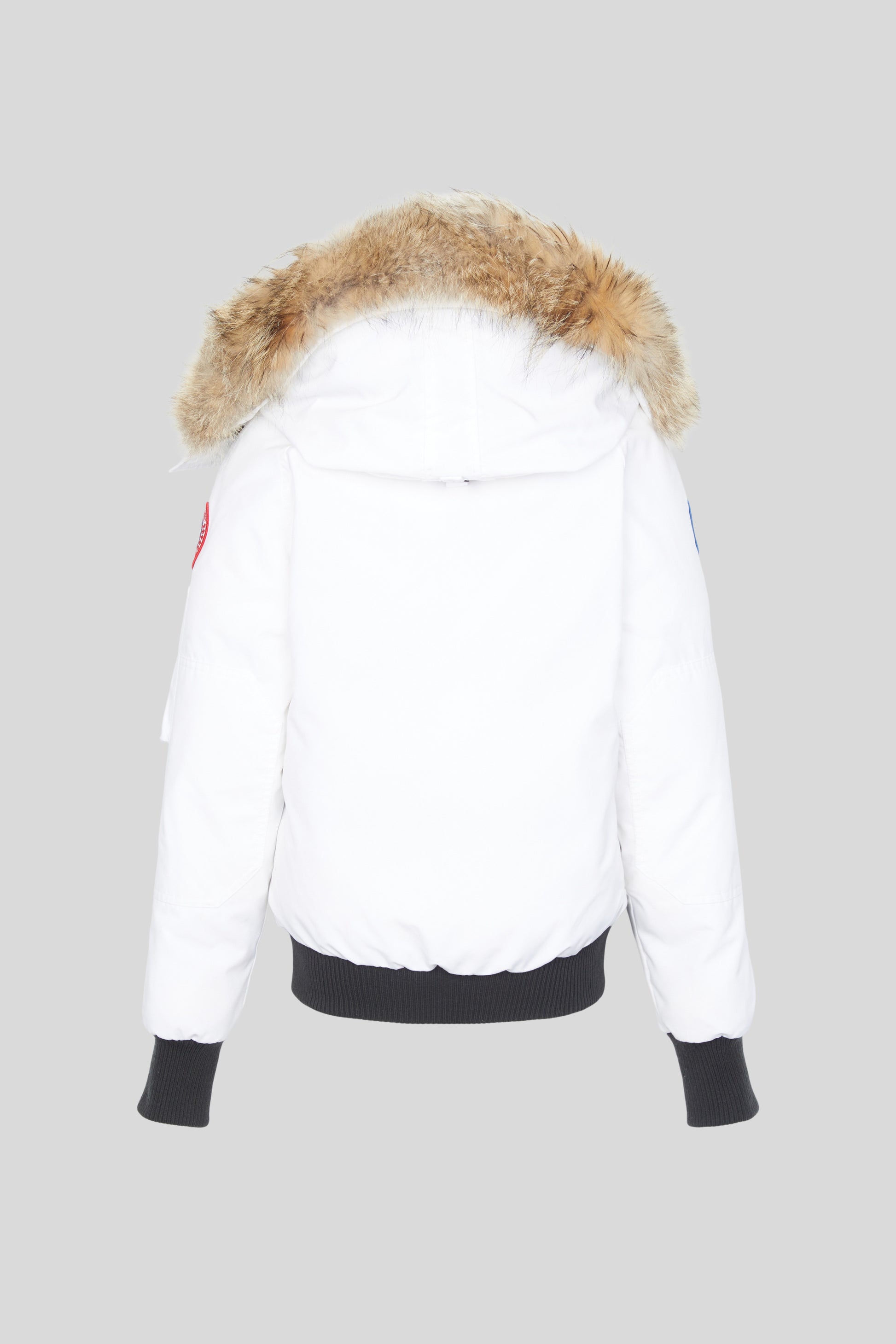 Used Chilliwack Bomber PBI for sale Canada Goose Generations US