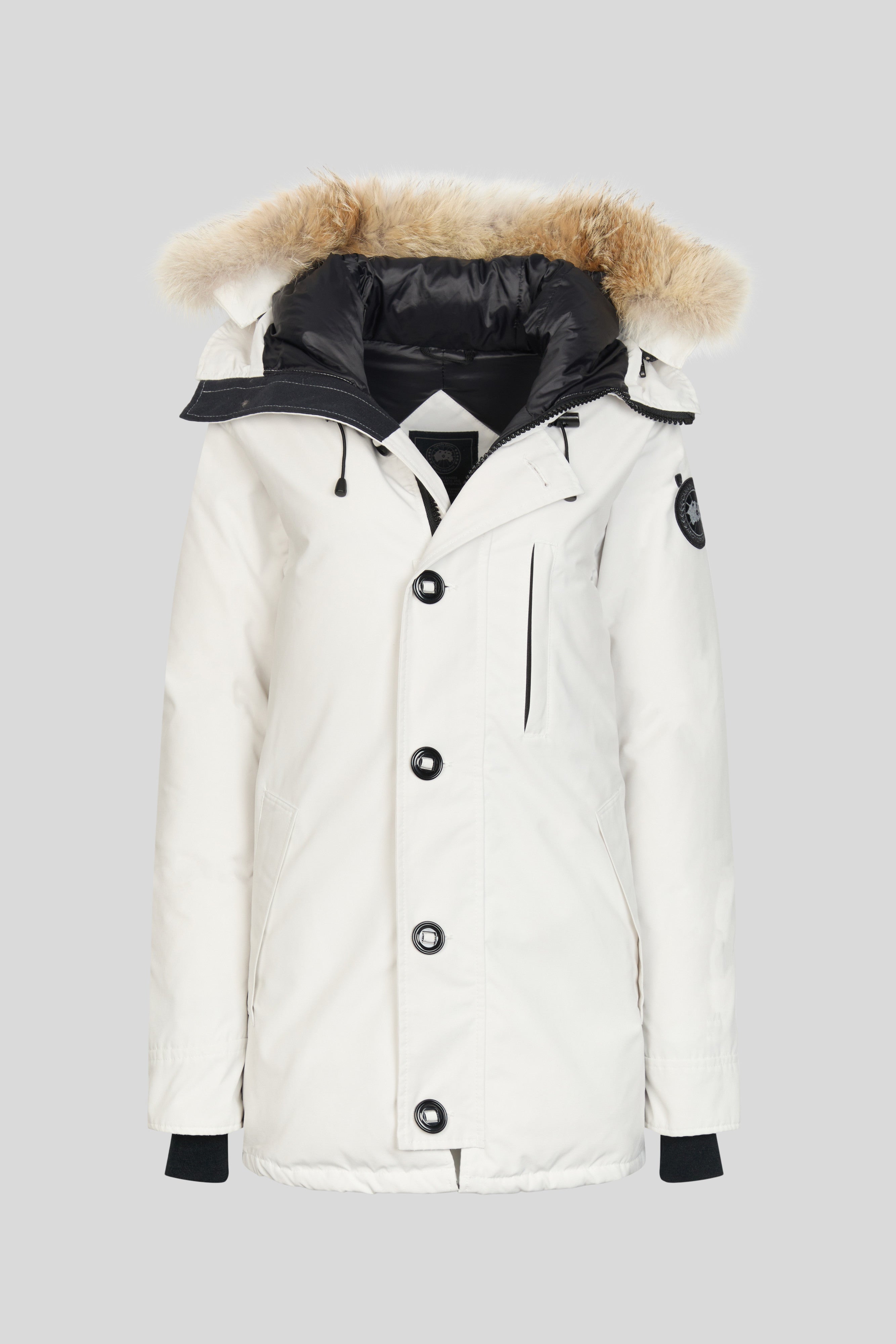 kvpz7gzitqpqkkfaskaq_0e7ab343-