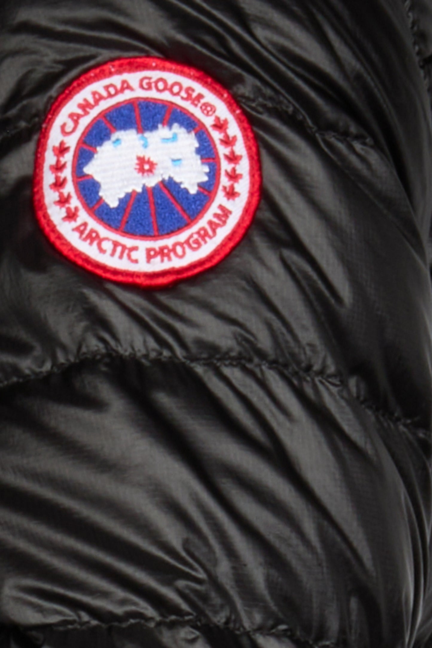 detail