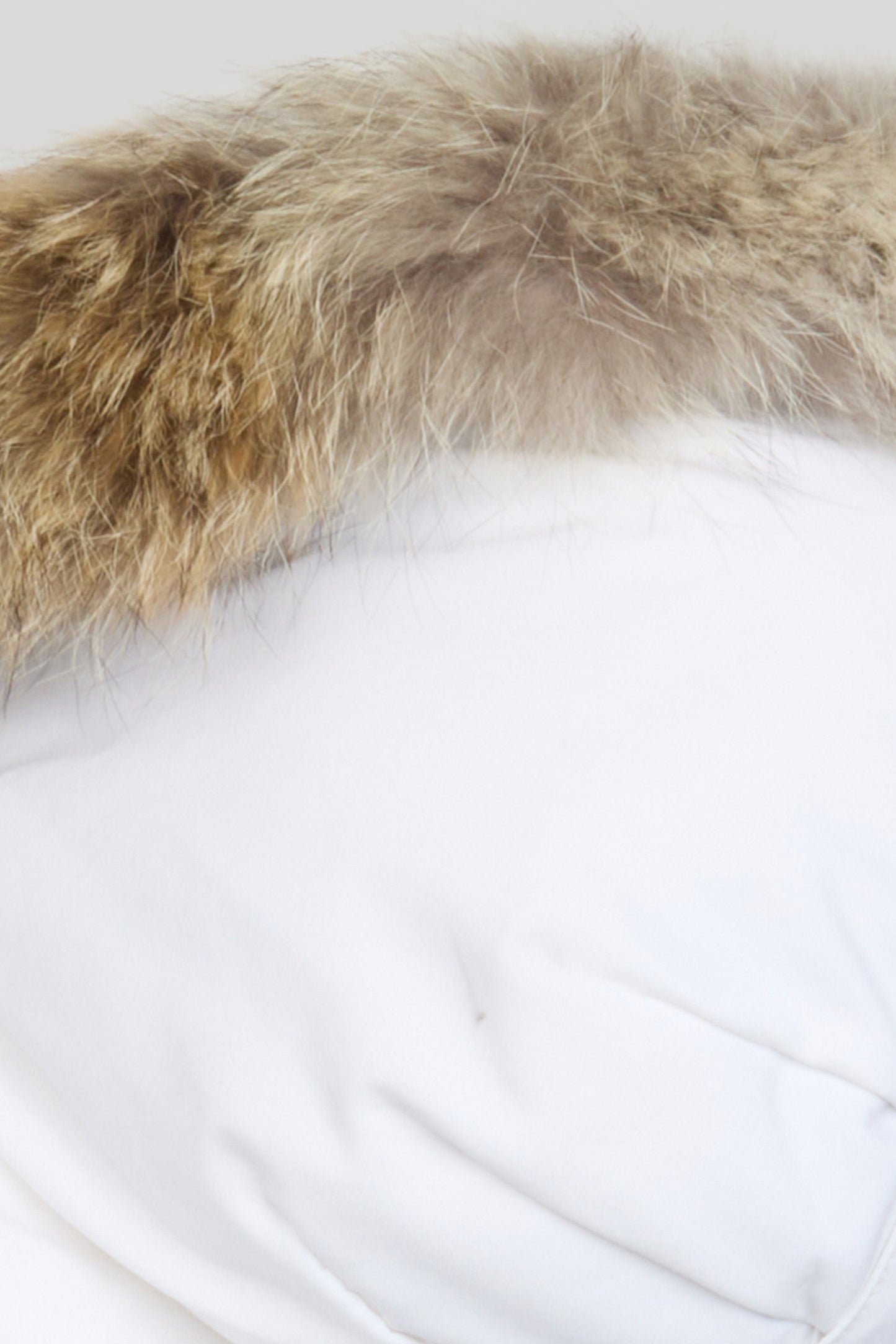 detail2