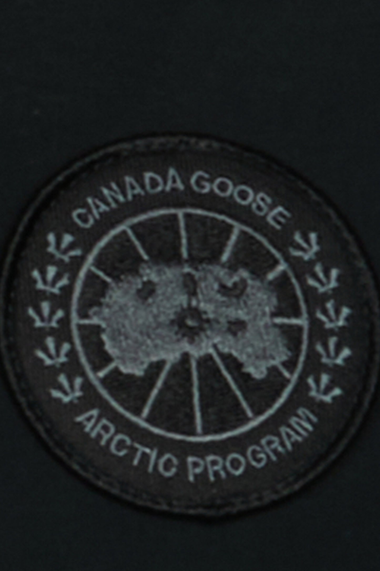 detail