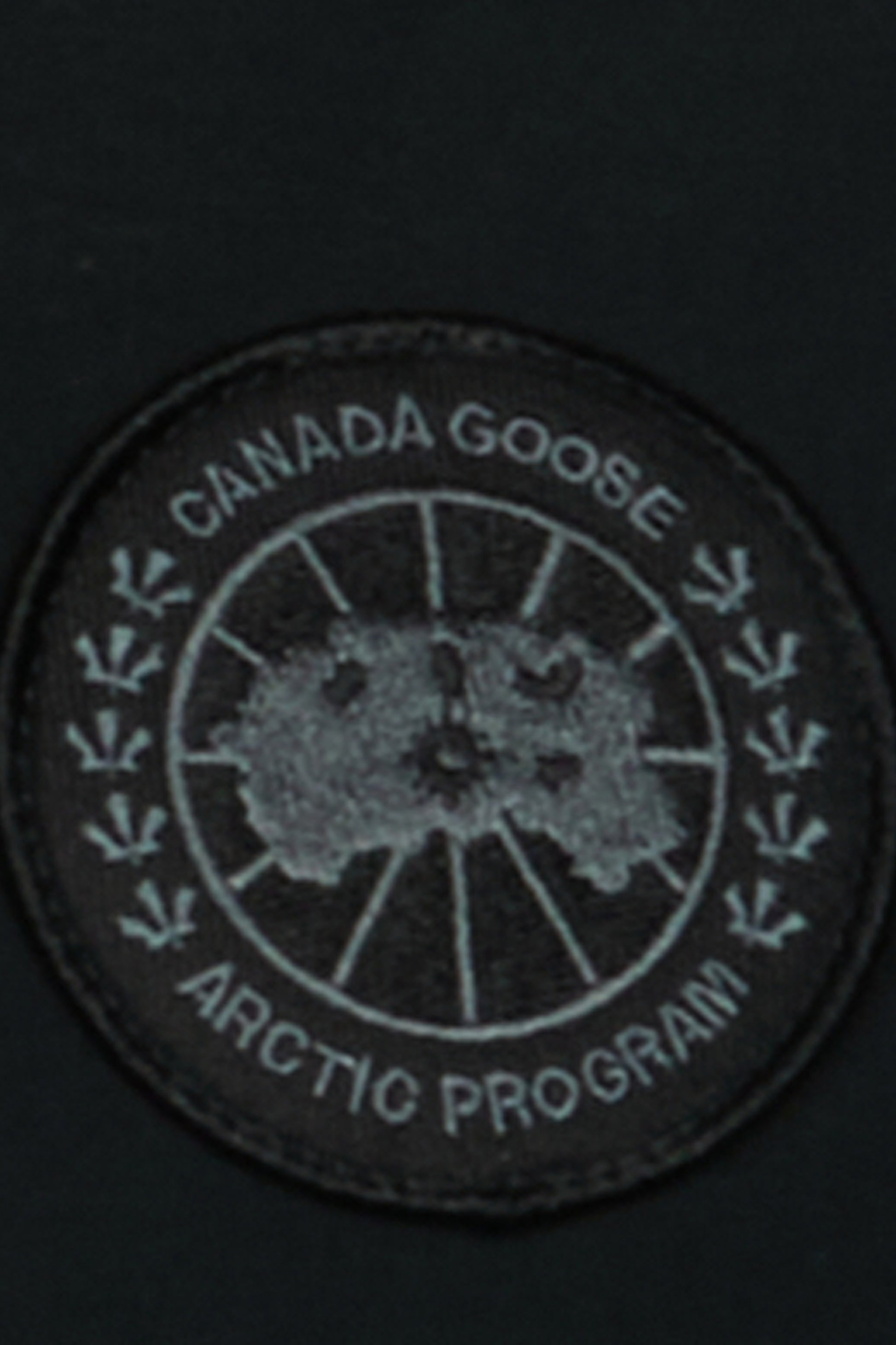 detail