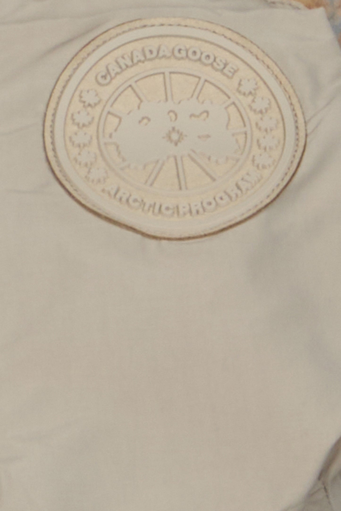 detail