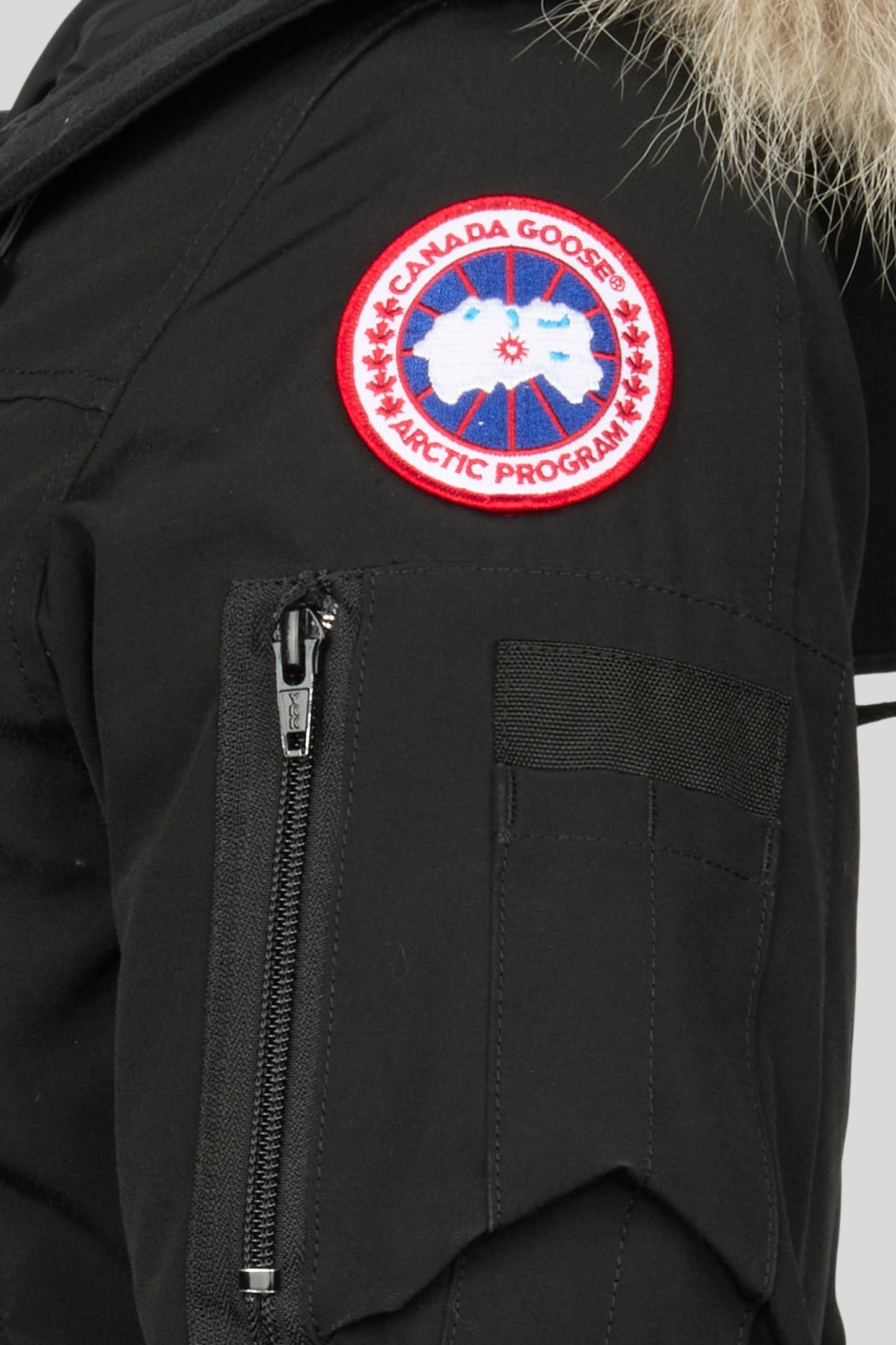 detail