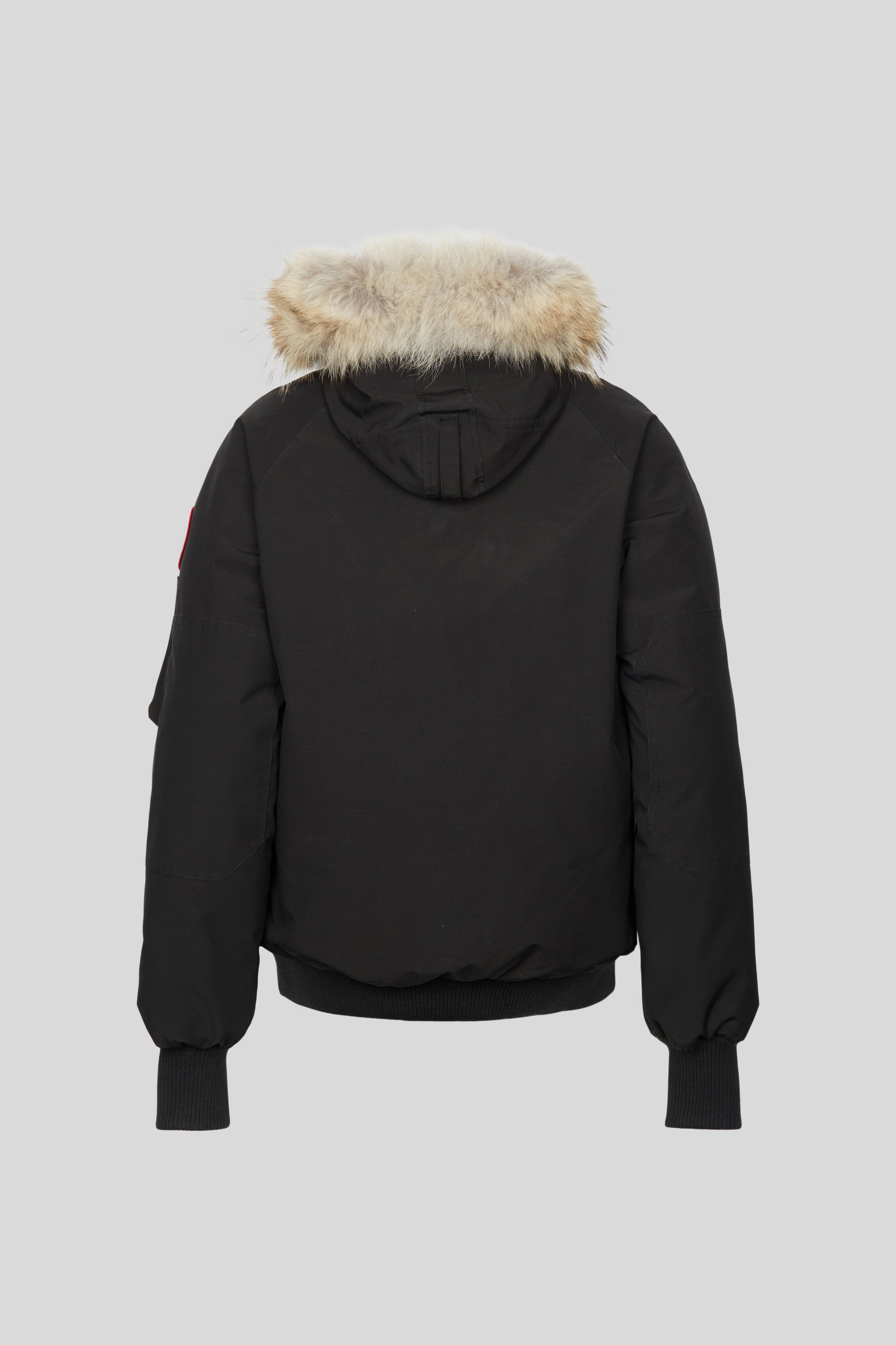 Purple canada goose bomber best sale