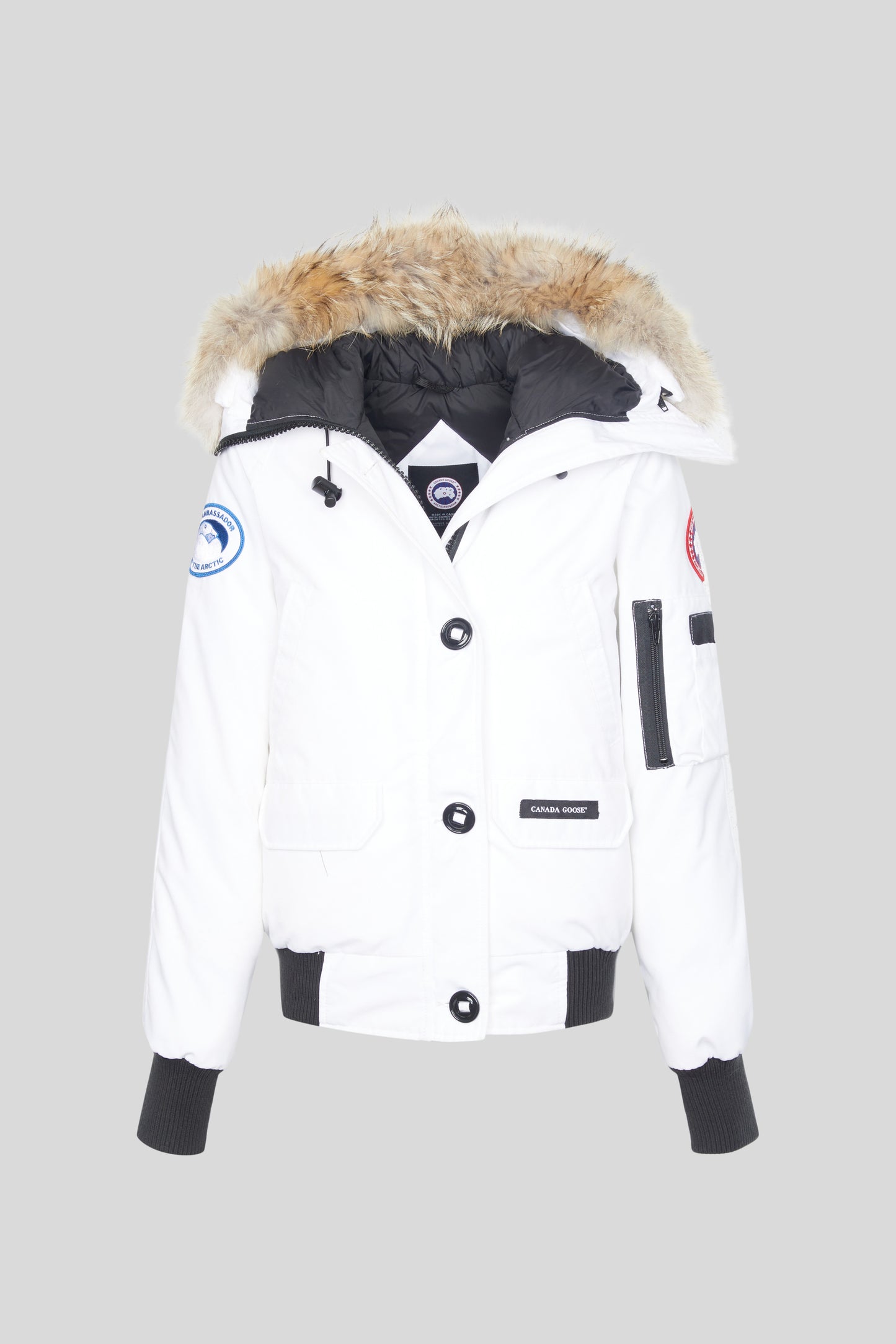 Parka Canada Goose 7999l Clothing Canada Goose 7999l Kit Bomber