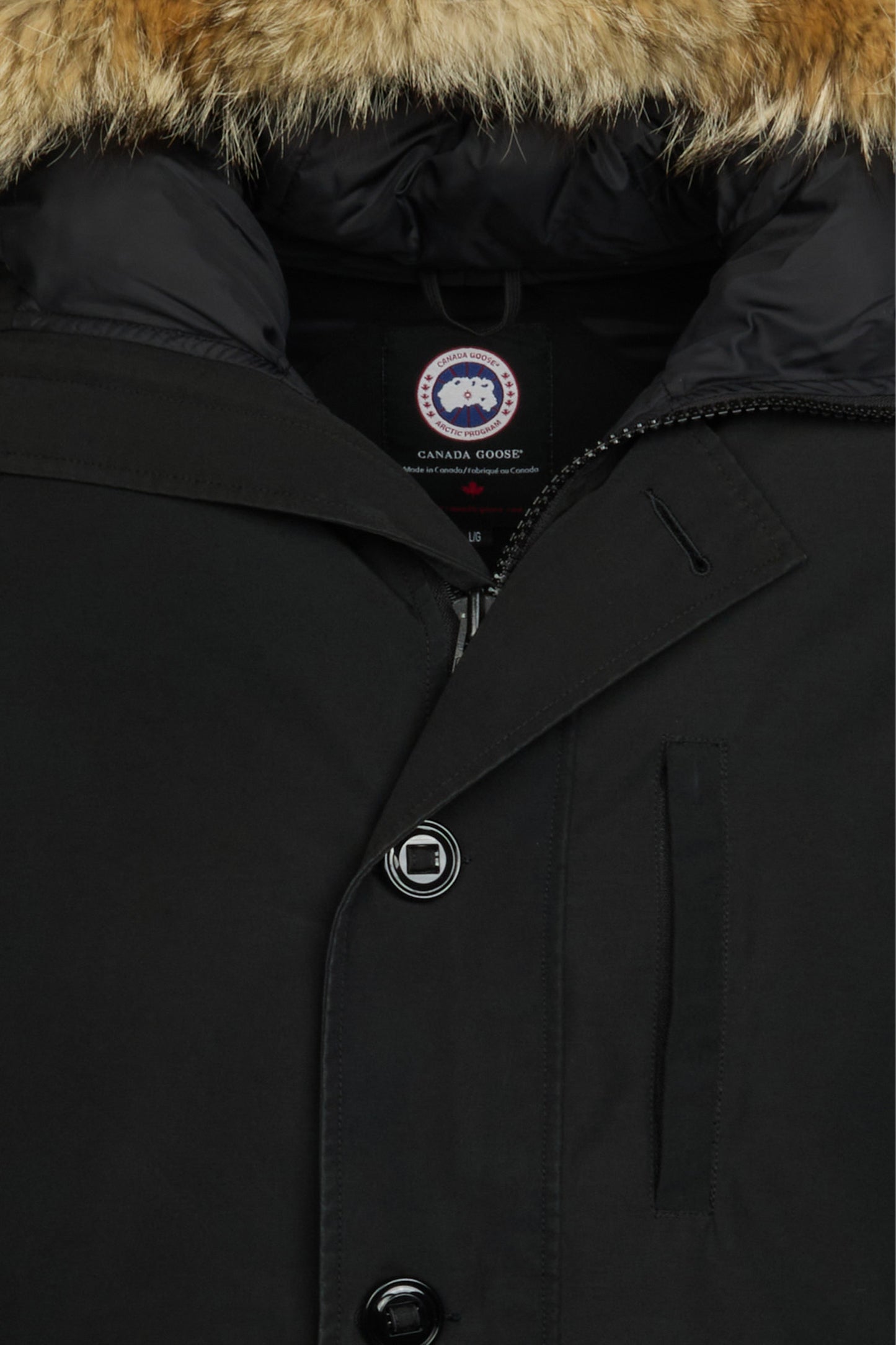 detail2