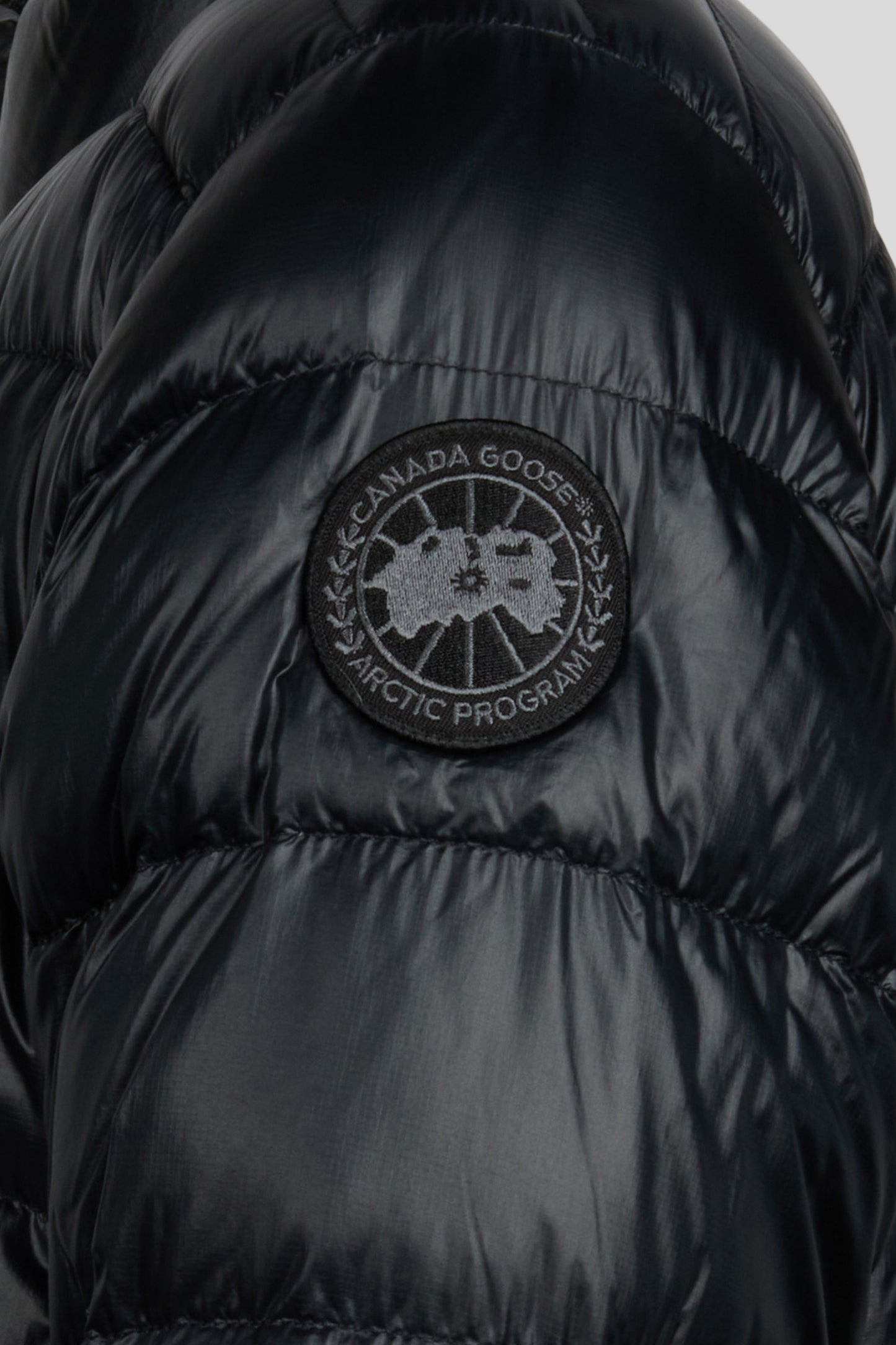 detail