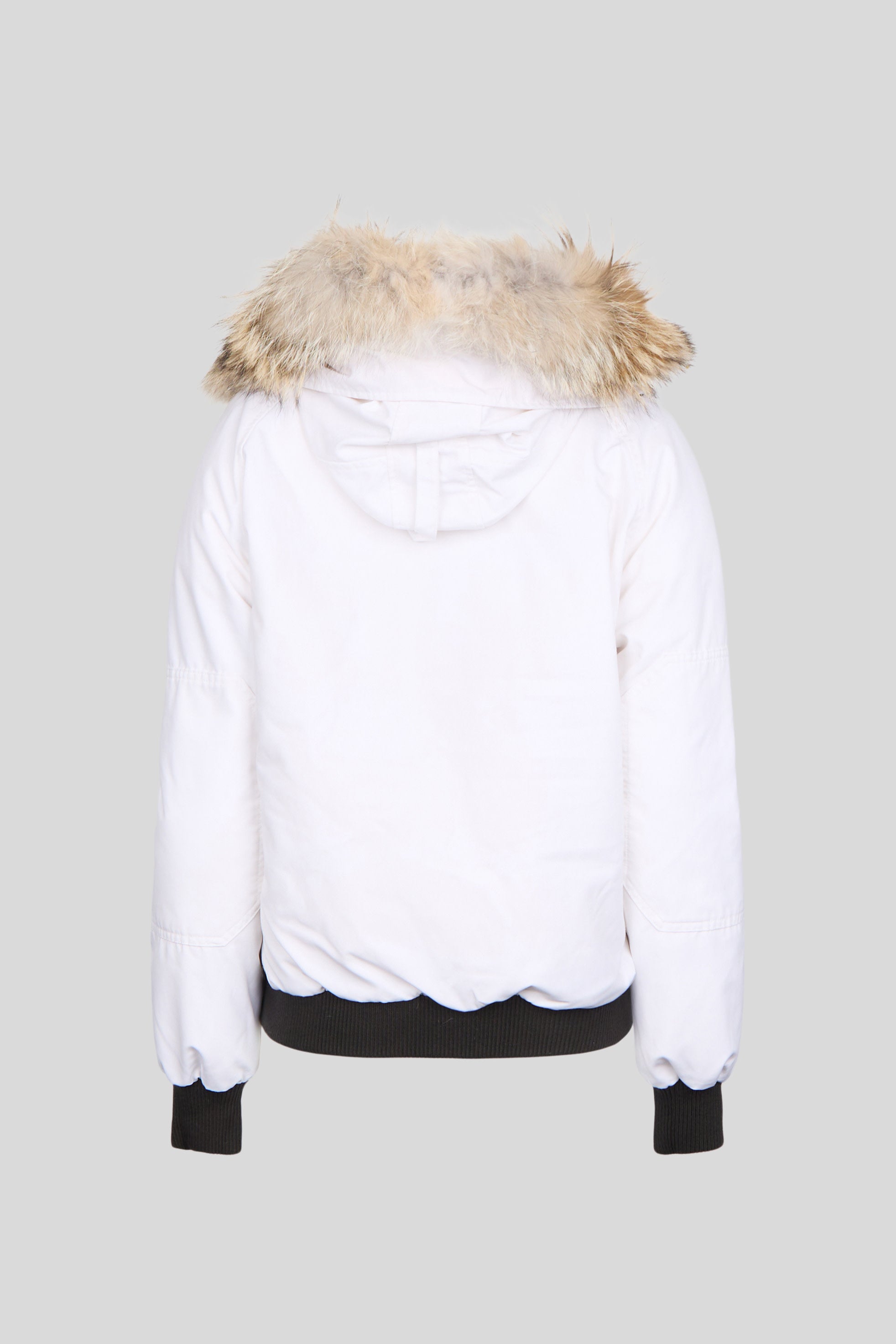 Canada goose chilliwack pbi bomber best sale