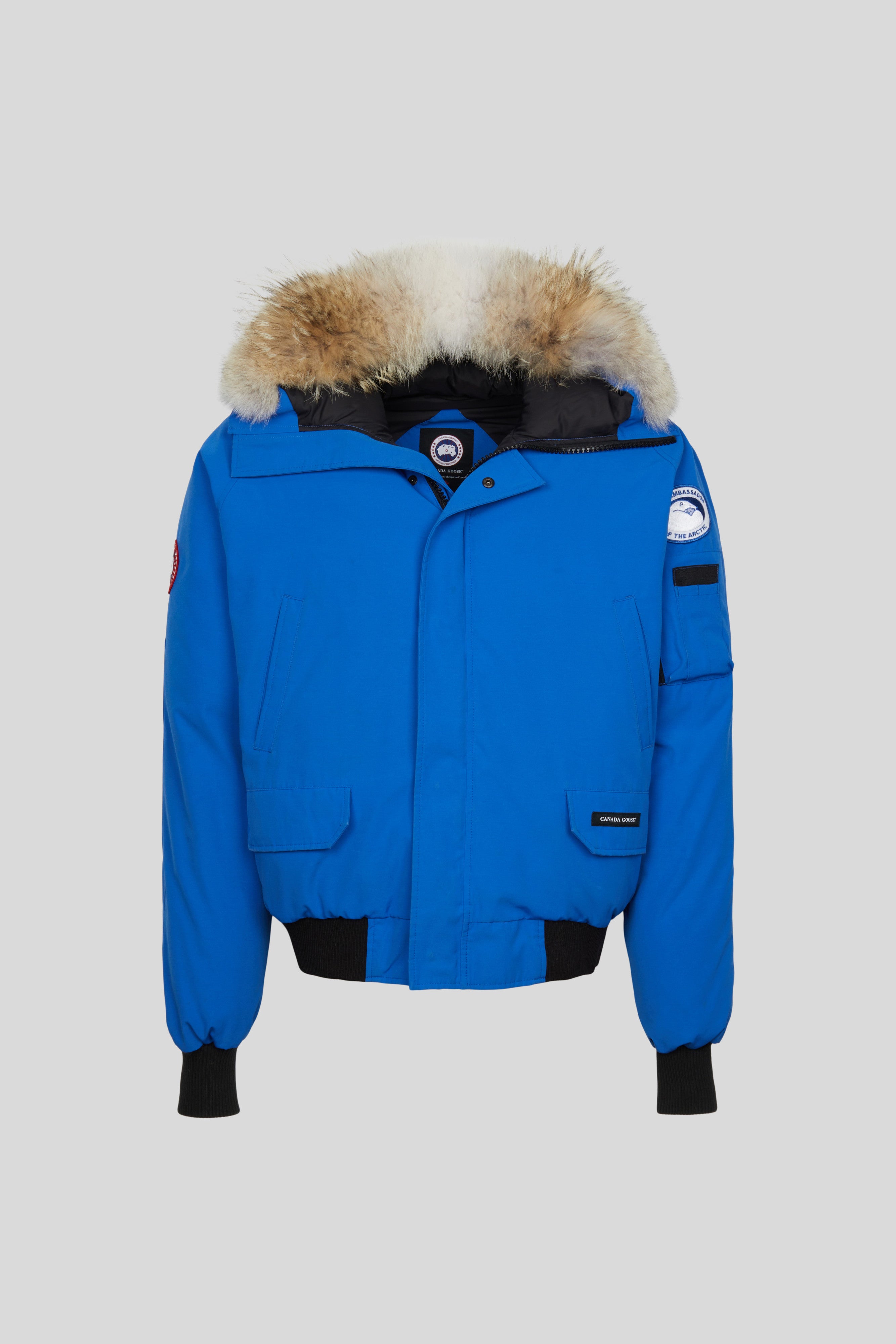 Canada goose blue bomber best sale