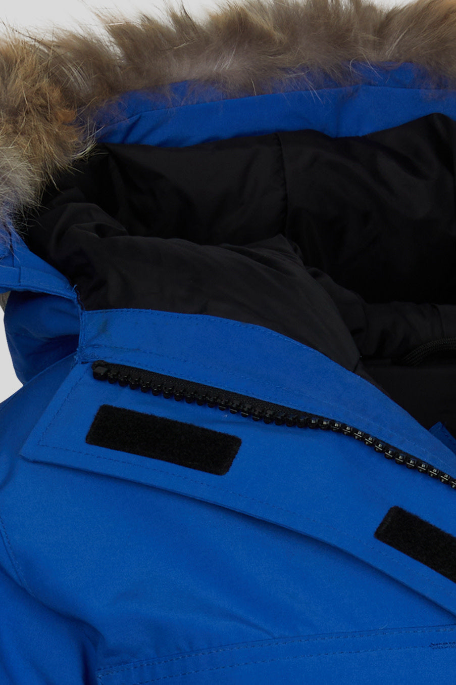 Canada goose pbi expedition parka blue men's on sale