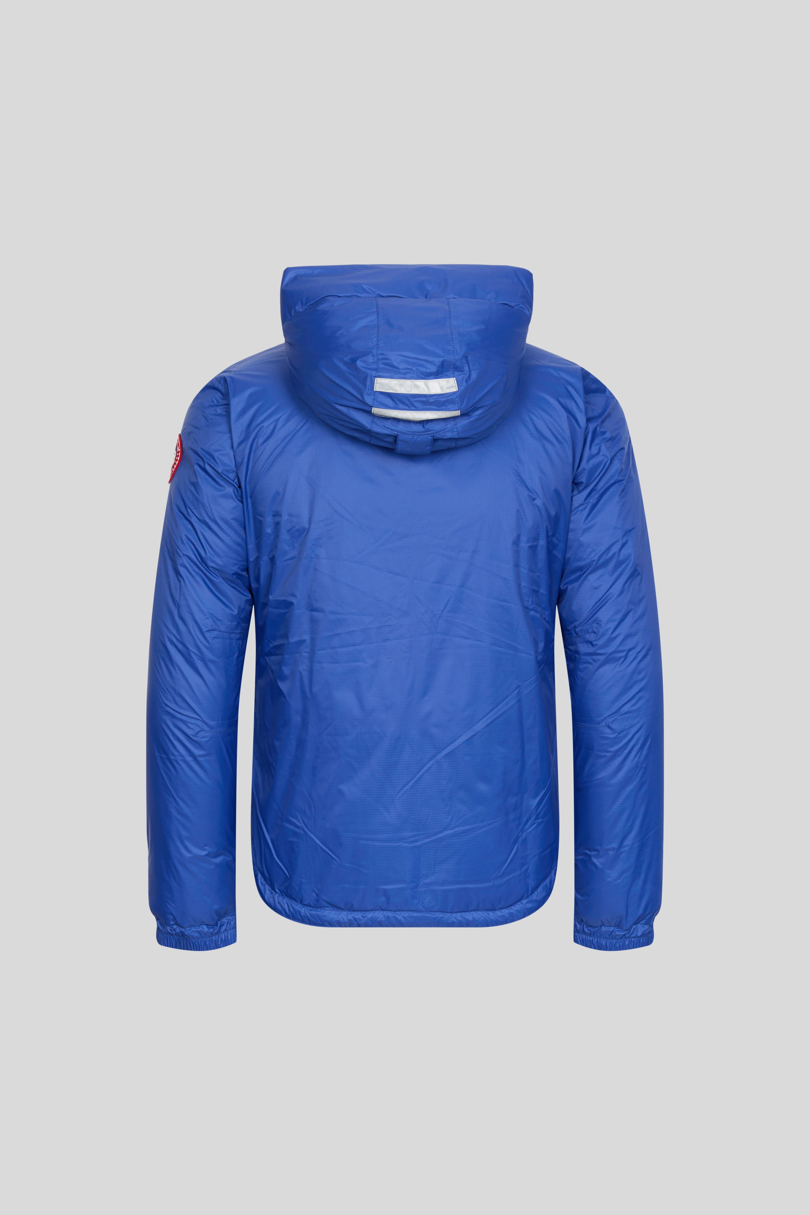 Campden 2025 canada goose